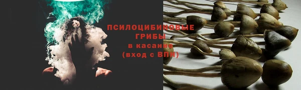 бутират Балабаново