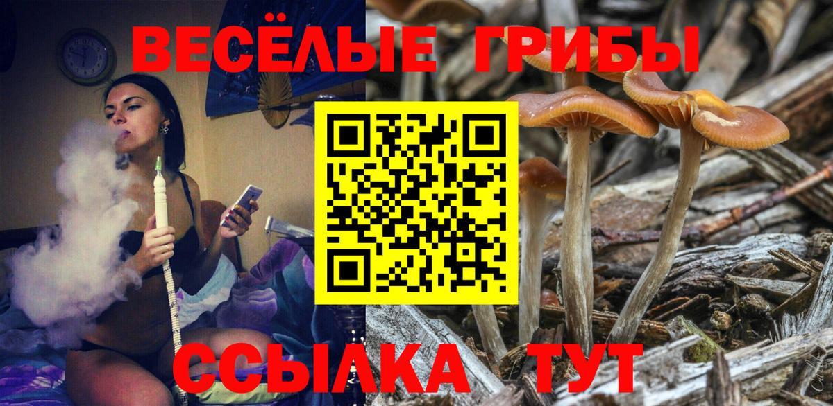 Псилоцибиновые грибы Magic Shrooms Борзя