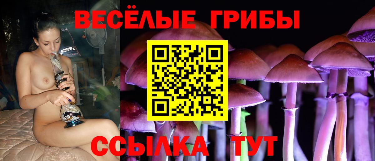 Псилоцибиновые грибы мицелий  Вход с VPN  Борзя 